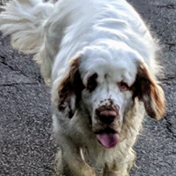 Meet your Posher, Marianne - Picture 4 of 11